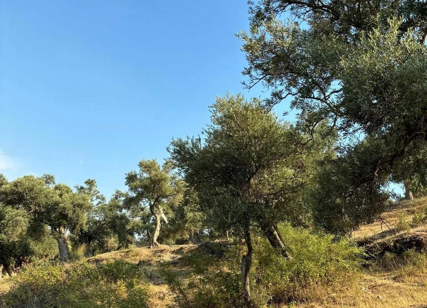 Milas-Bodrum Oezel Havuzlu Triplex Villa Turecko